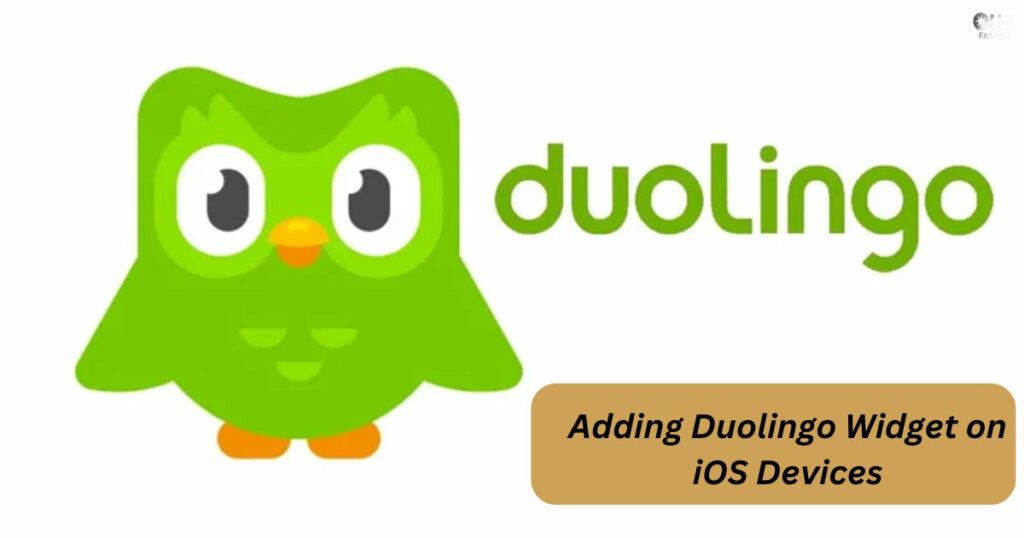 Adding Duolingo Widget on iOS Devices