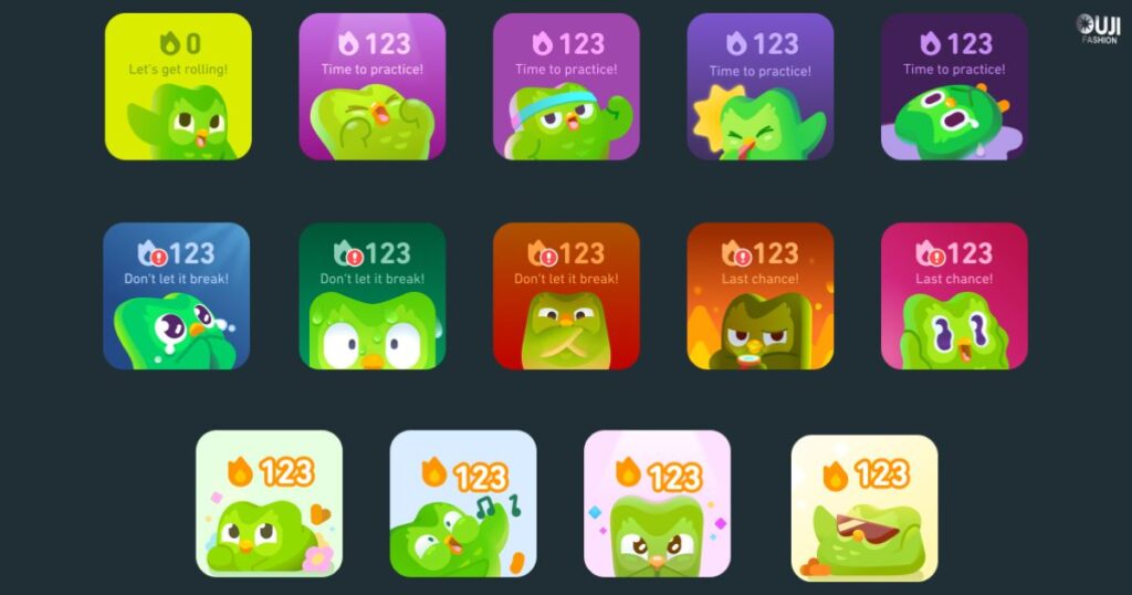 Duolingo Widget Features Across Platforms