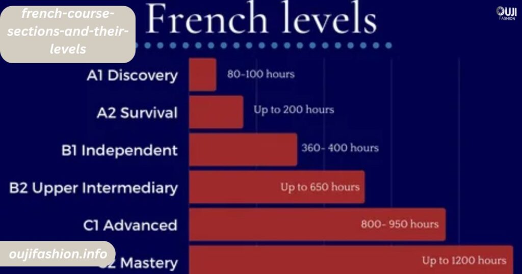 French Course Sections and Their Levels