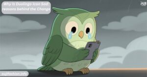 Why Is Duolingo Icon Sad: reasons behind the Change